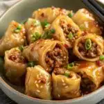 Spicy Beef Dumpling Rolls