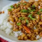 Ground Orange Chicken Ground Orange Chicken Ground Orange Chicken