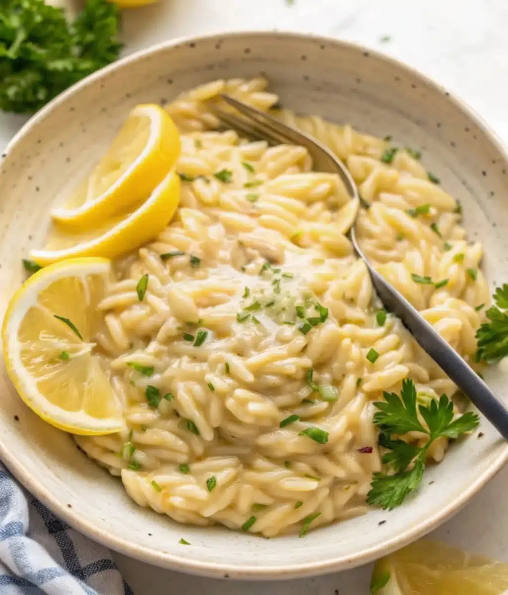 One Pan Lemon Orzo Pasta One Pan Lemon Orzo Pasta One Pan Lemon Orzo Pasta